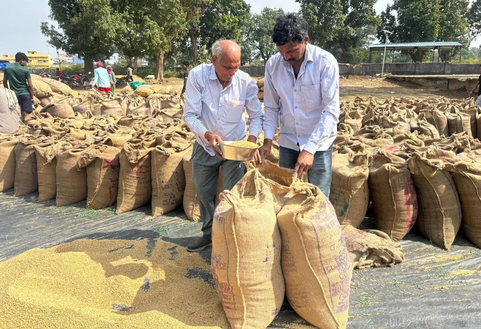 पारदर्शी व्यवस्था से खुशहाल किसान—3100 रुपये समर्थन मूल्य से नंद कुमार ने जताया मुख्यमंत्री विष्णु देव साय के प्रति आभार।