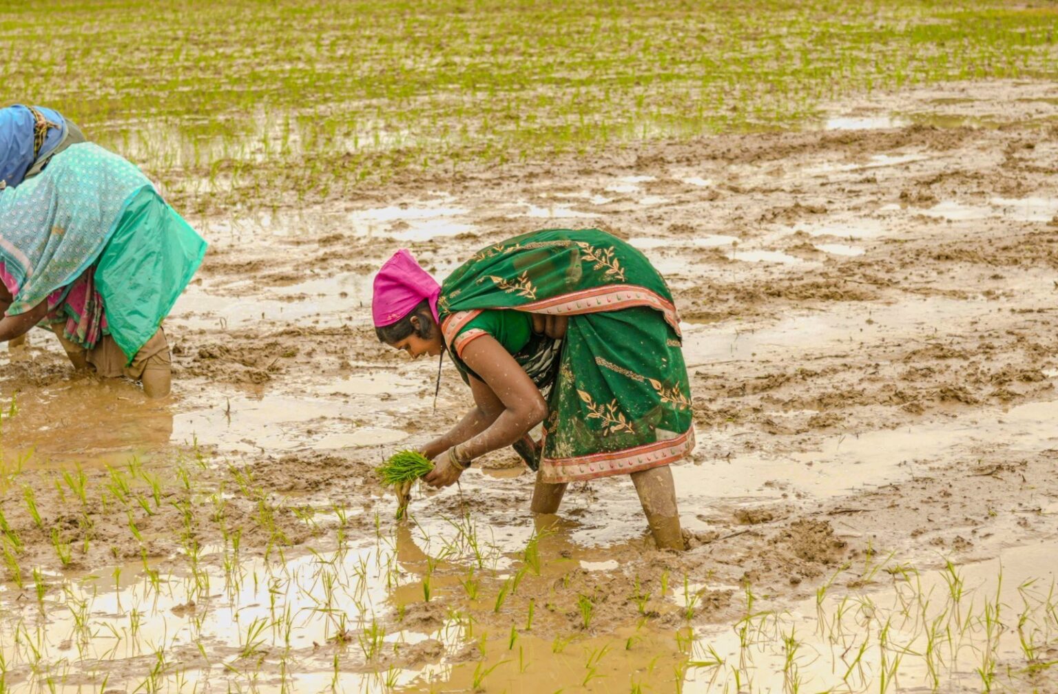 झमाझम बारिश से दूर हुई किसानों की चिंता समय पर खाद-बीज ने बढ़ाया अन्नदाताओं का विश्वास मानसून की मेहरबानी और शासन की तैयारी से खेती को मिली नई रफ्तार, खेतों में लौटी रौनक।