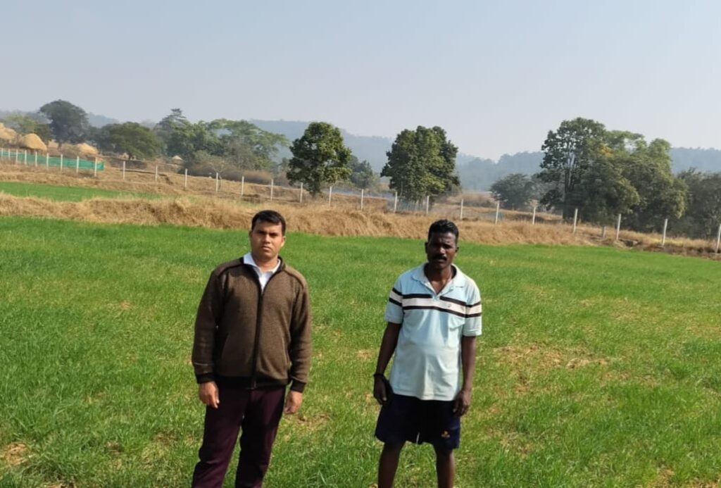 कम लागत, दोगुना फायदा : जशपुर के किसान ने गेहूं की खेती से बढ़ाई आमदनी, मुख्यमंत्री विष्णुदेव साय की पहल से कृषि विभाग के मार्गदर्शन का किसानों को मिल रहा लाभ….