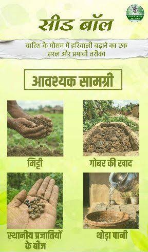 सीड बॉल अभियान- हरियाली बढ़ाने का सरल और प्रभावी माध्यम….