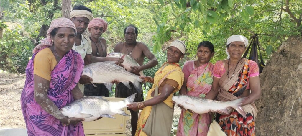 विष्णु भैया की पहल से तालाब बना महिलाओं की तरक्की का आधार, मछली पालन से सशक्त हुईं मनोरा और दुलदुला की महिलाएं, लाखों की आय से बदली जीवन की तस्वीर…..