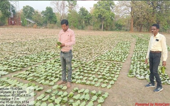 तेन्दूपत्ता संग्रहण की नई पहल से अबुझमाड़ के 22 गांवों को मिला लाभ, गांव के पास खुला फड़, 365 संग्राहकों को मिला सीधा आर्थिक लाभ….
