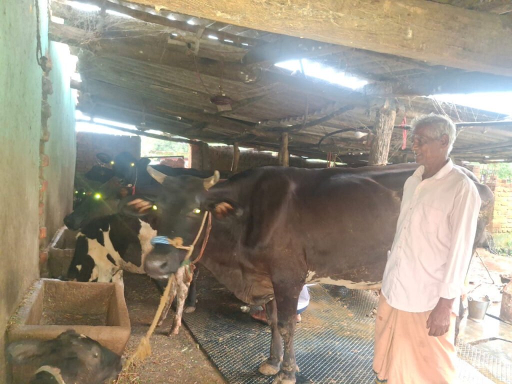 पीएम किसान सम्मान निधि की बचत से खरीदी पहली गाय, आज 10 गायों के साथ आत्मनिर्भर बने 75 वर्षीय परशुराम गुप्ता….