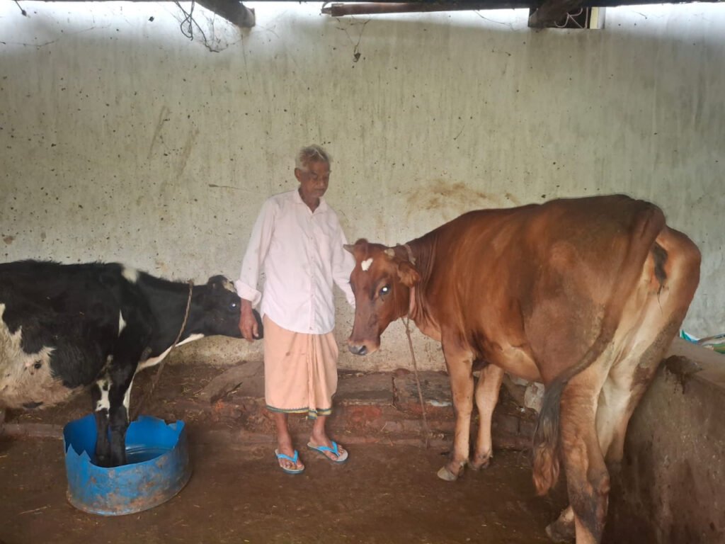 पीएम किसान सम्मान निधि की बचत से खरीदी पहली गाय, आज 10 गायों के साथ आत्मनिर्भर बने 75 वर्षीय परशुराम गुप्ता….