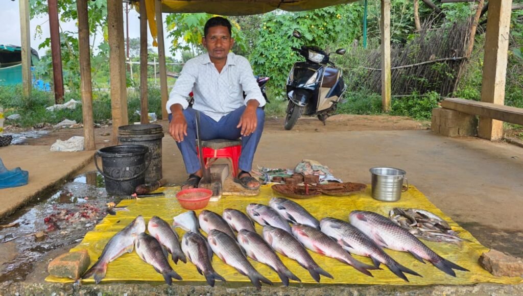 मत्स्य पालन से समृद्ध हो रही सरगुजा की ग्रामीण अर्थव्यवस्था, किसानों और महिलाओं के लिए खुल रहे स्वरोजगार के नए अवसर….